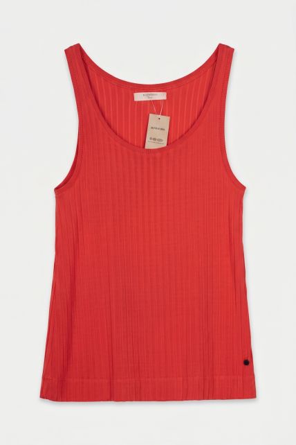 Musculosa