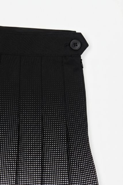 Pollera - Second Image